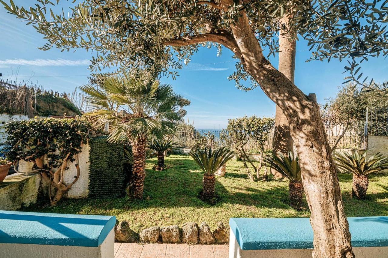 Appartamenti Ischia Casa Don Peppe Forio  Ngoại thất bức ảnh
