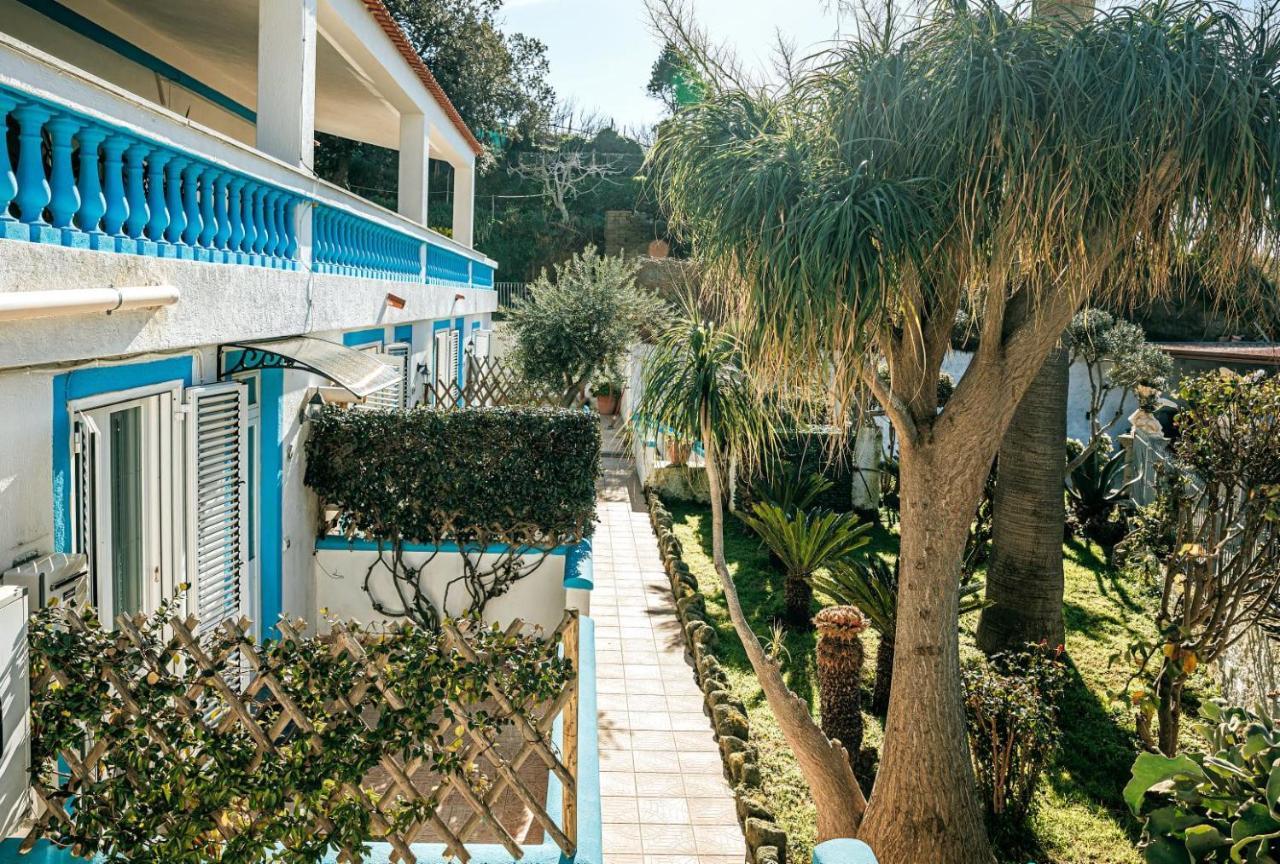 Appartamenti Ischia Casa Don Peppe Forio  Ngoại thất bức ảnh