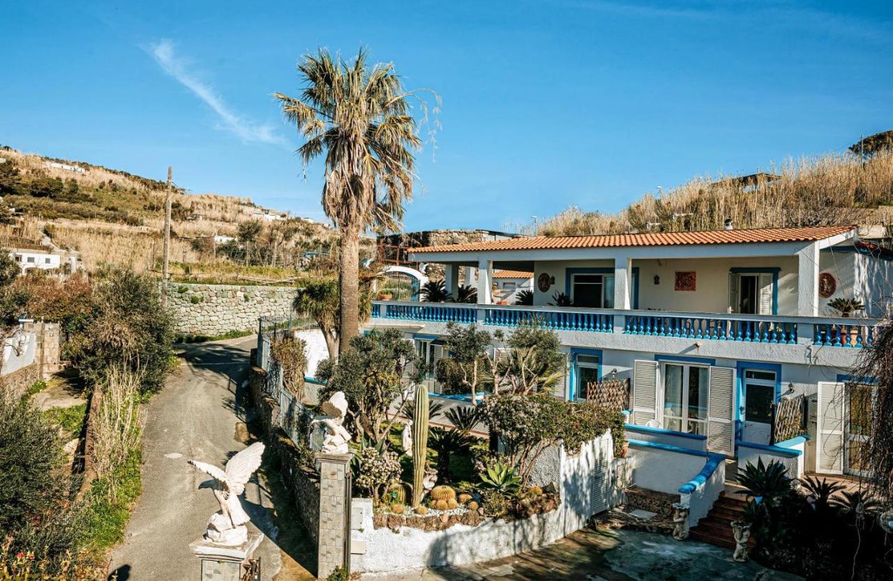 Appartamenti Ischia Casa Don Peppe Forio  Ngoại thất bức ảnh